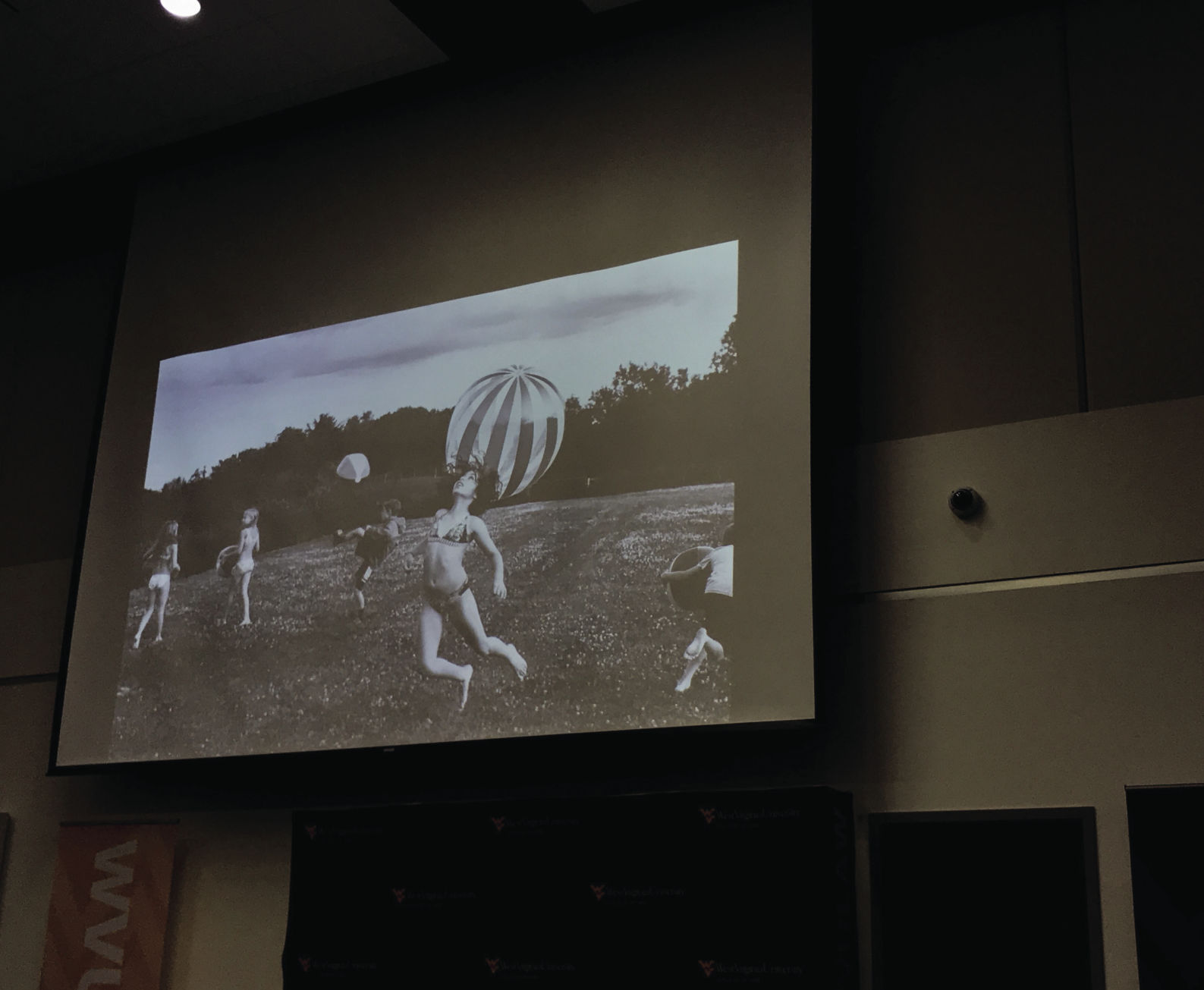 appalachia panel
